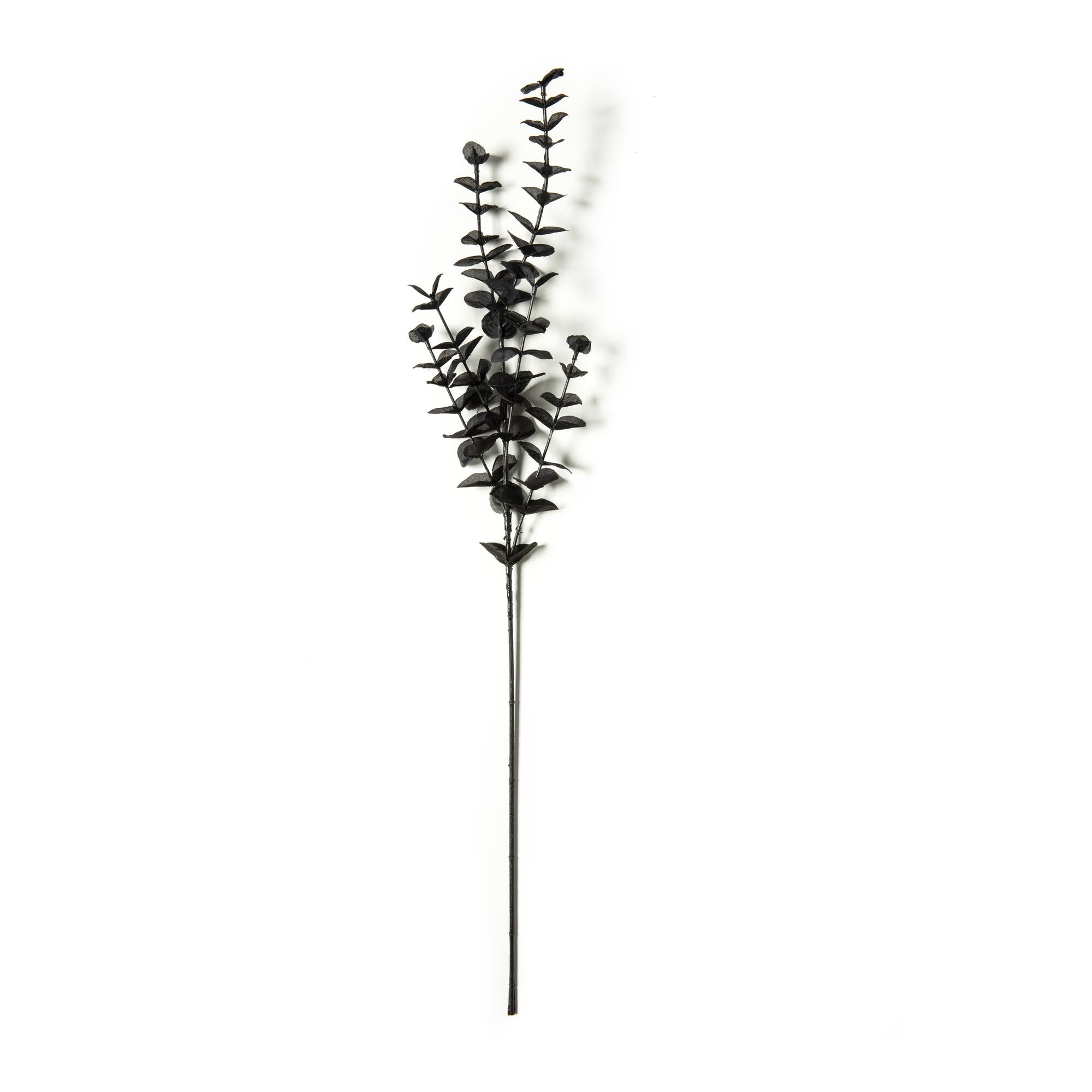 12 Pack: Black Eucalyptus Spray by Ashland®